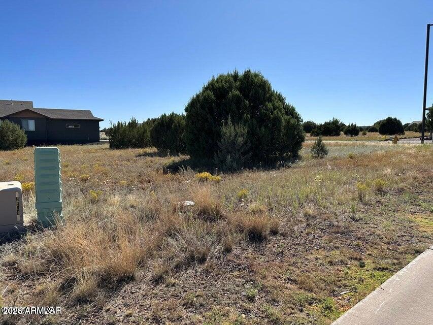 SHOW LOW BLUFF PHASE 1A - Land