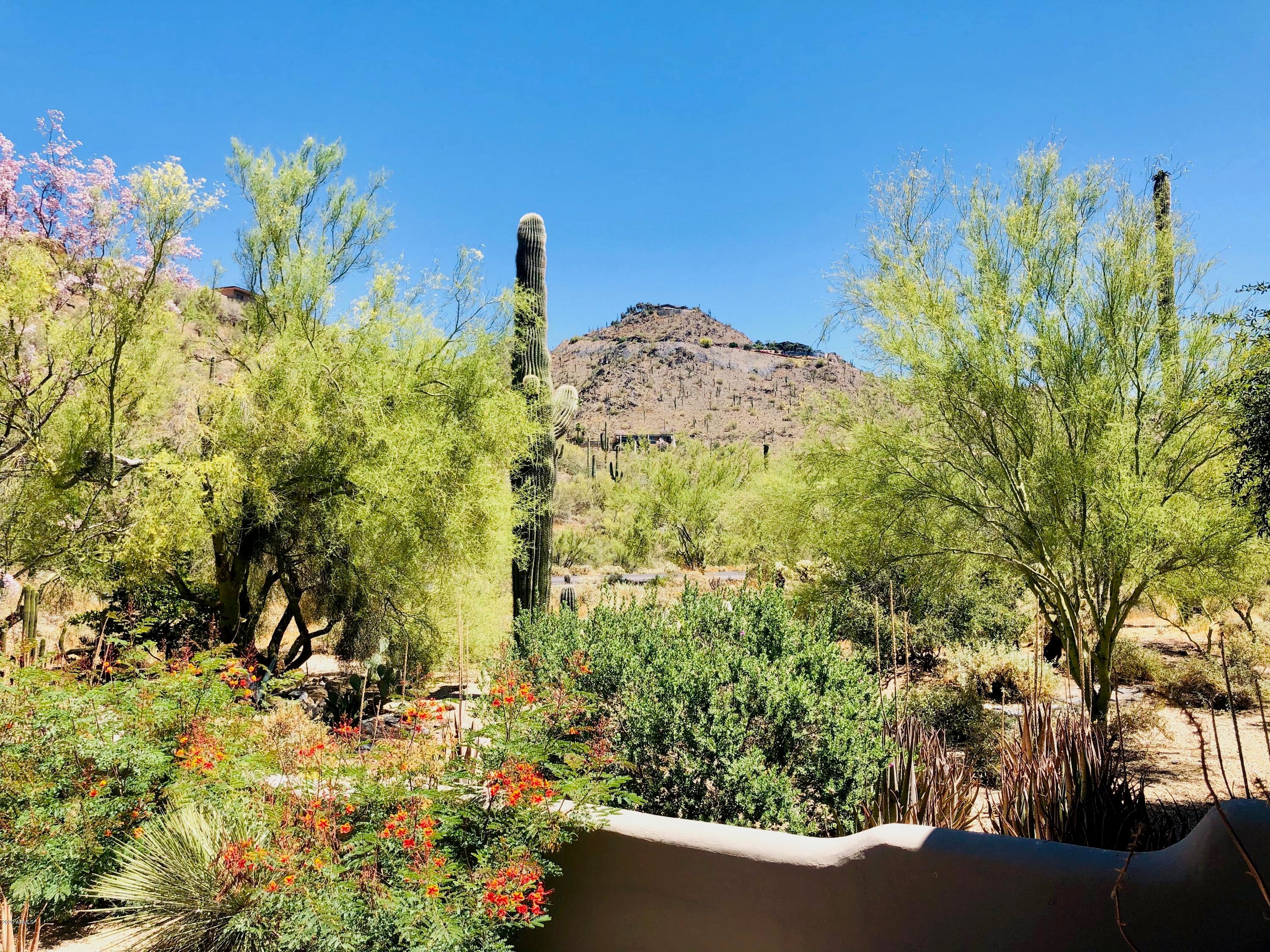 CAREFREE FOOTHILLS - Residential