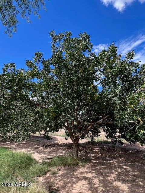 OCOTILLO GRANDE RANCHES - Residential