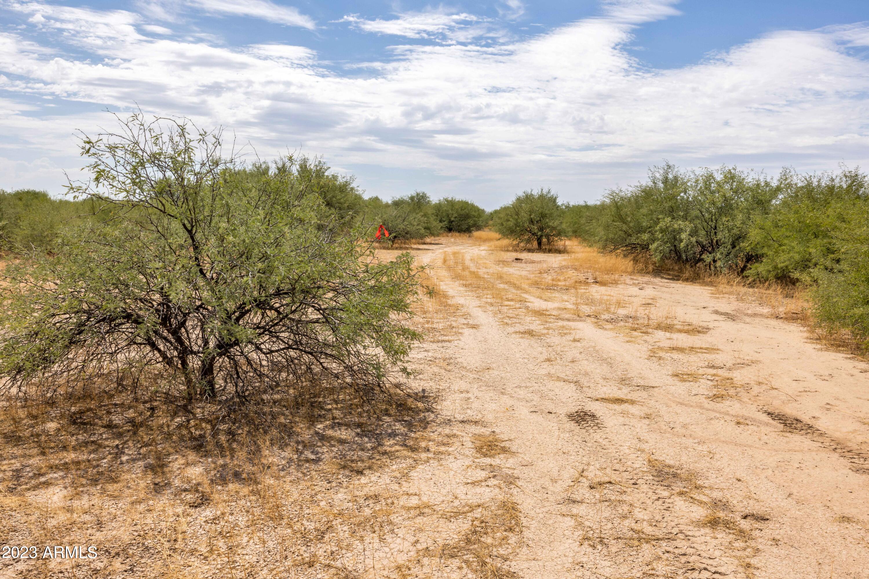TOLTEC/ARIZONA VALLEY UNIT SIXTEEN - Land