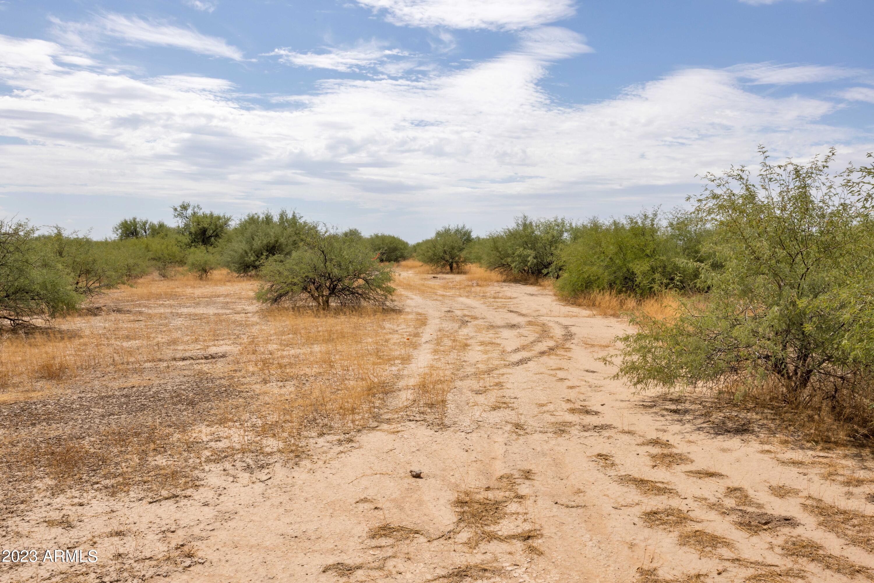''Embrace the incredible growth in booming Eloy by securing this fantastic buildable lot for your future home! Bring your housing plans to life on this well-located property, offering endless possibilities for your starter home. With a water main just 1189 feet away, and the nearest electric line, fire hydrant and sewer main within reasonable distances of approximately 1,723, 2,000 and 5,437 feet, respectively, this lot provides the essential infrastructure for your convenience. The owner, a licensed real estate agent in the state of Arizona, is eager to assist you in making your vision a reality. Act now to seize this opportunity and explore the potential of owning multiple adjacent lots to expand your dream property. Take the next step in joining the thriving community of Eloy!'' Must use Pioneer Title

50% Down Payment, 10% interest rate, $500 monthly payment.