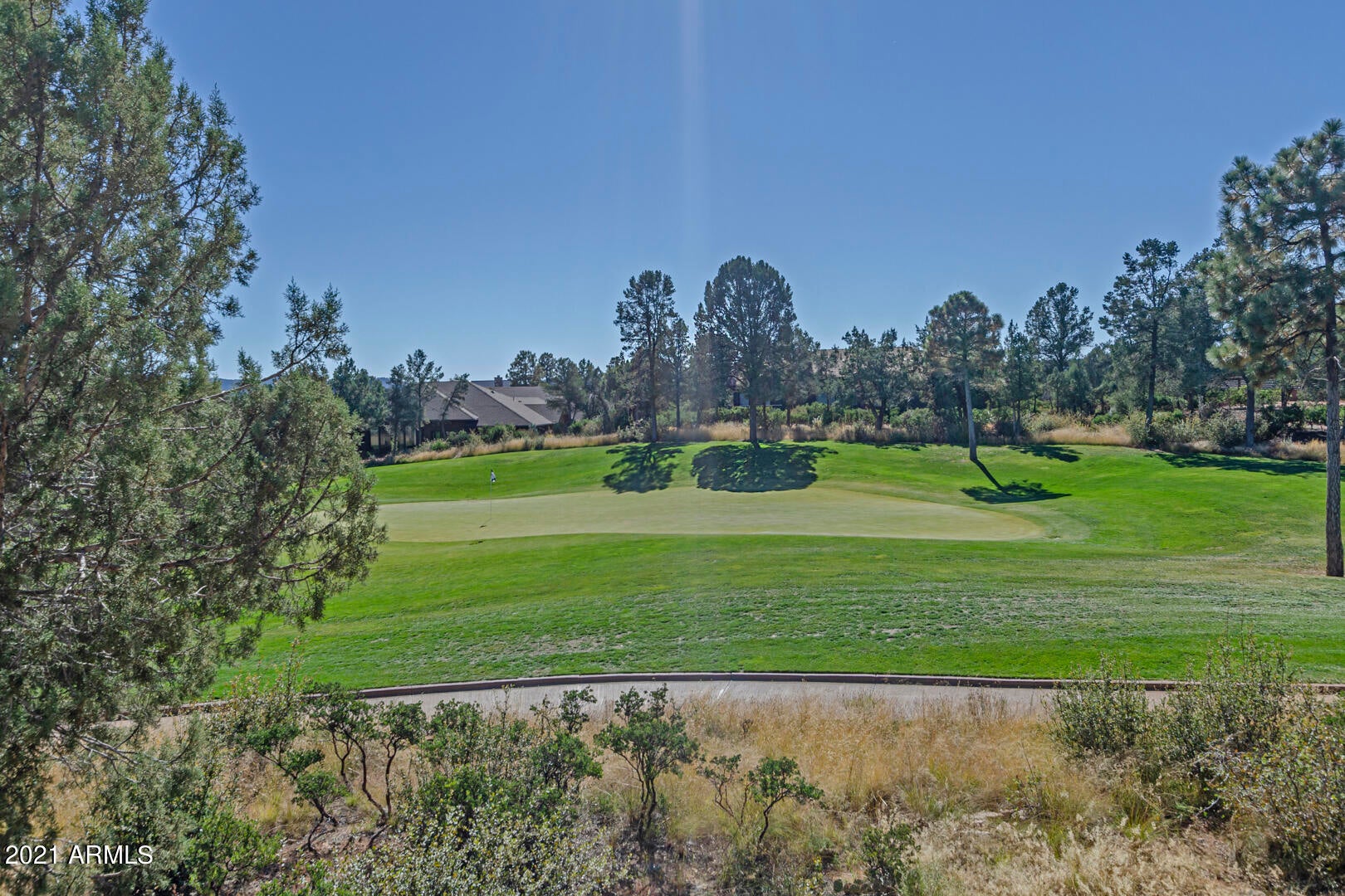 CHAPARRAL PINES PHASE 1 - Residential