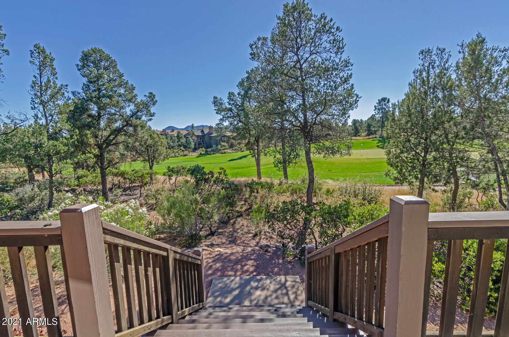CHAPARRAL PINES PHASE 1 - Residential