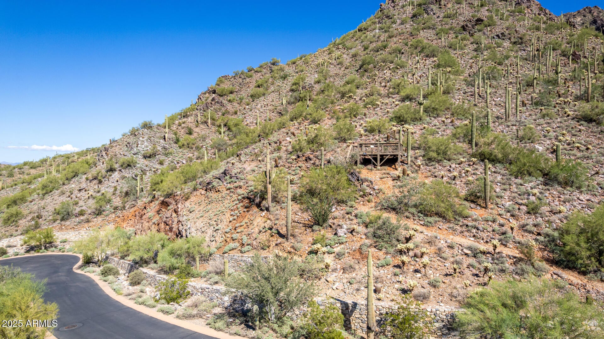 Silverleaf - Land