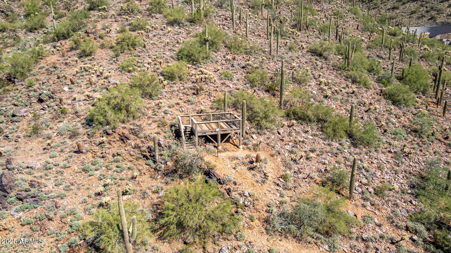 Silverleaf - Land