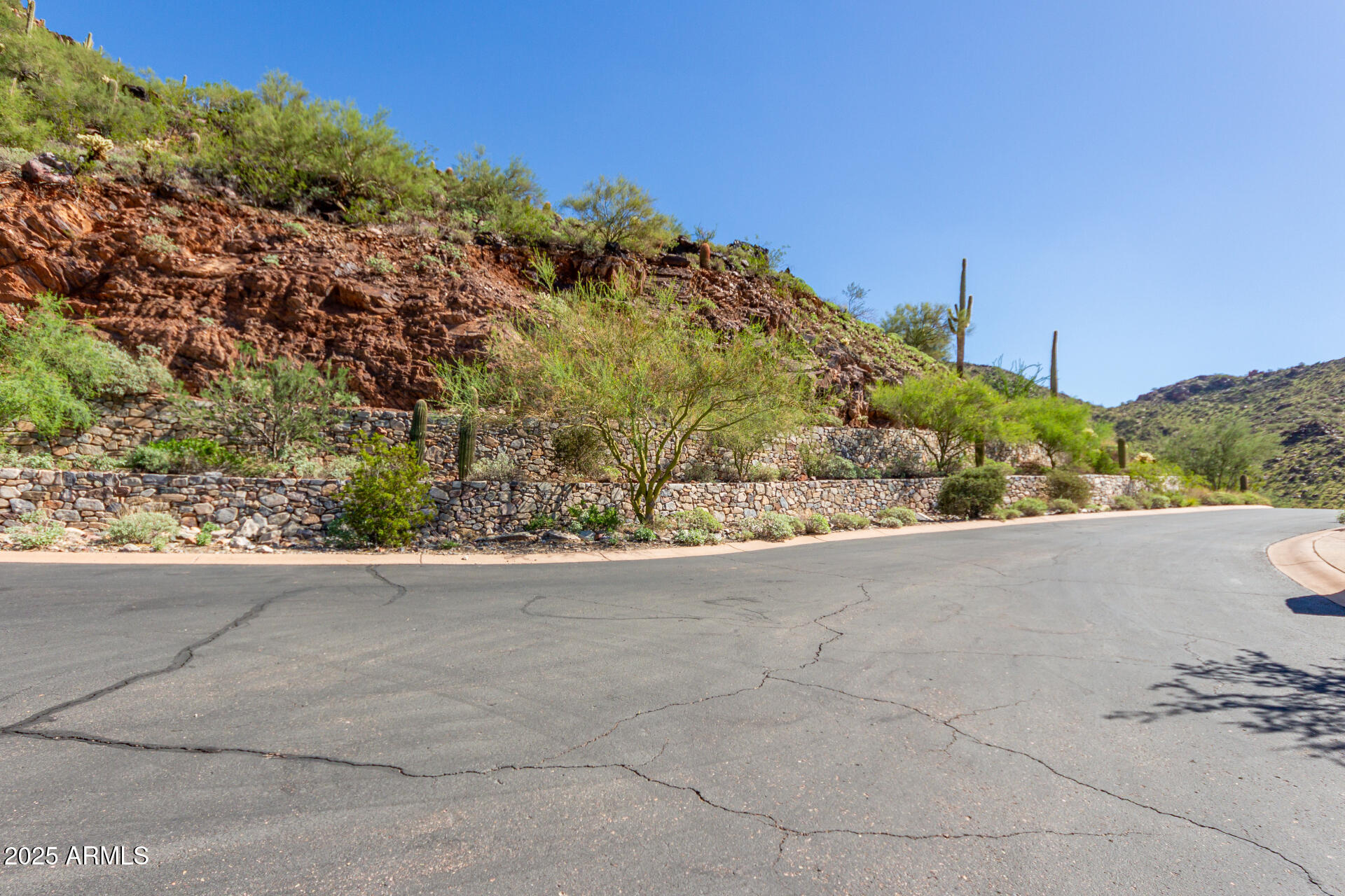 Silverleaf - Land