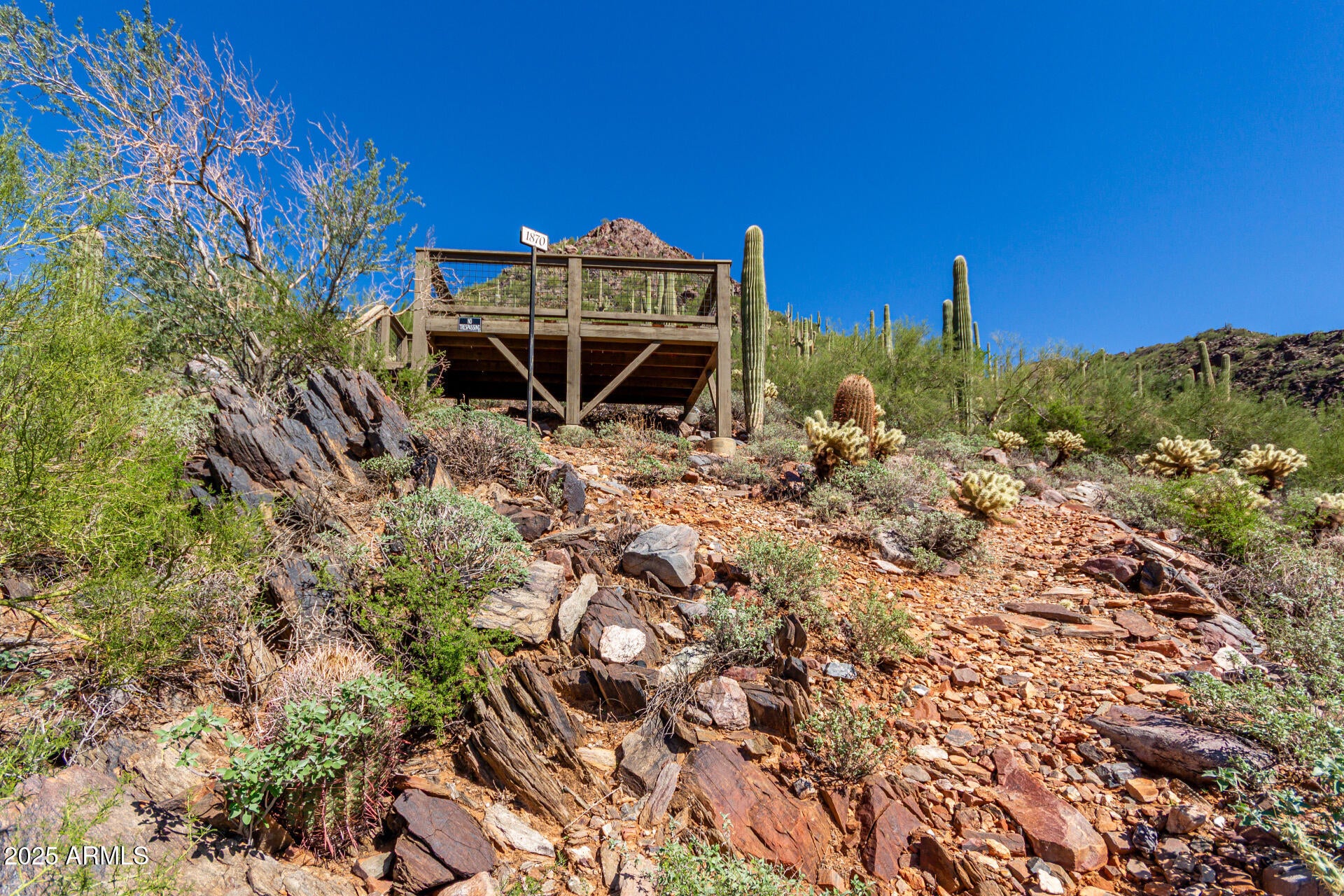 Silverleaf - Land