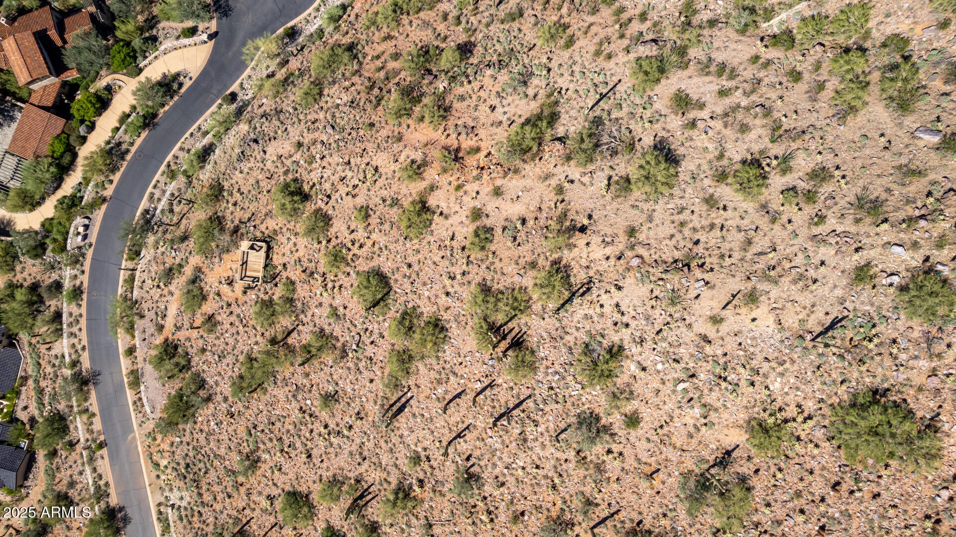 Silverleaf - Land