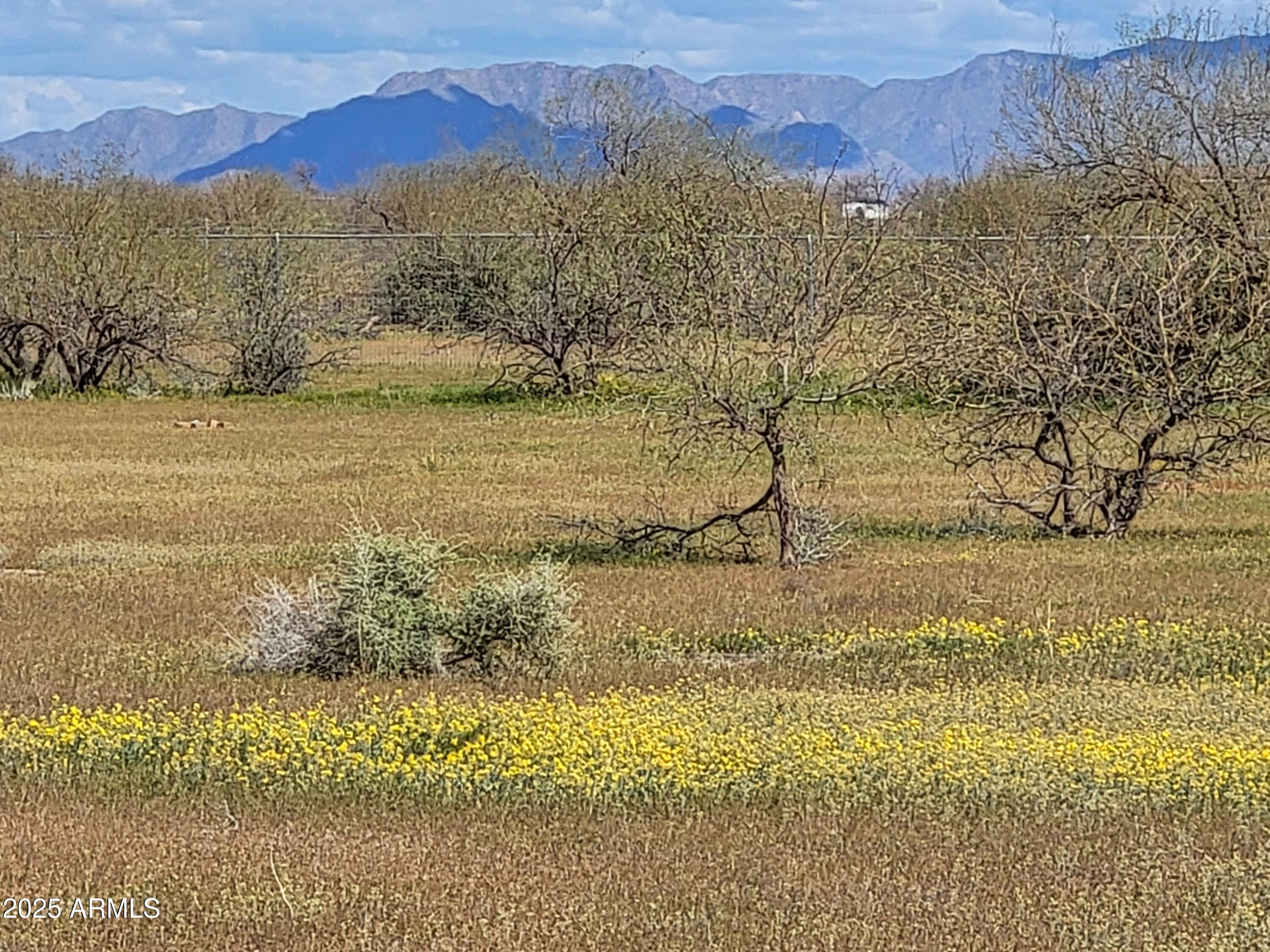 A PORTION OF LOT 25, ARIZONA CITY ESTATES UNIT 2, - Land
