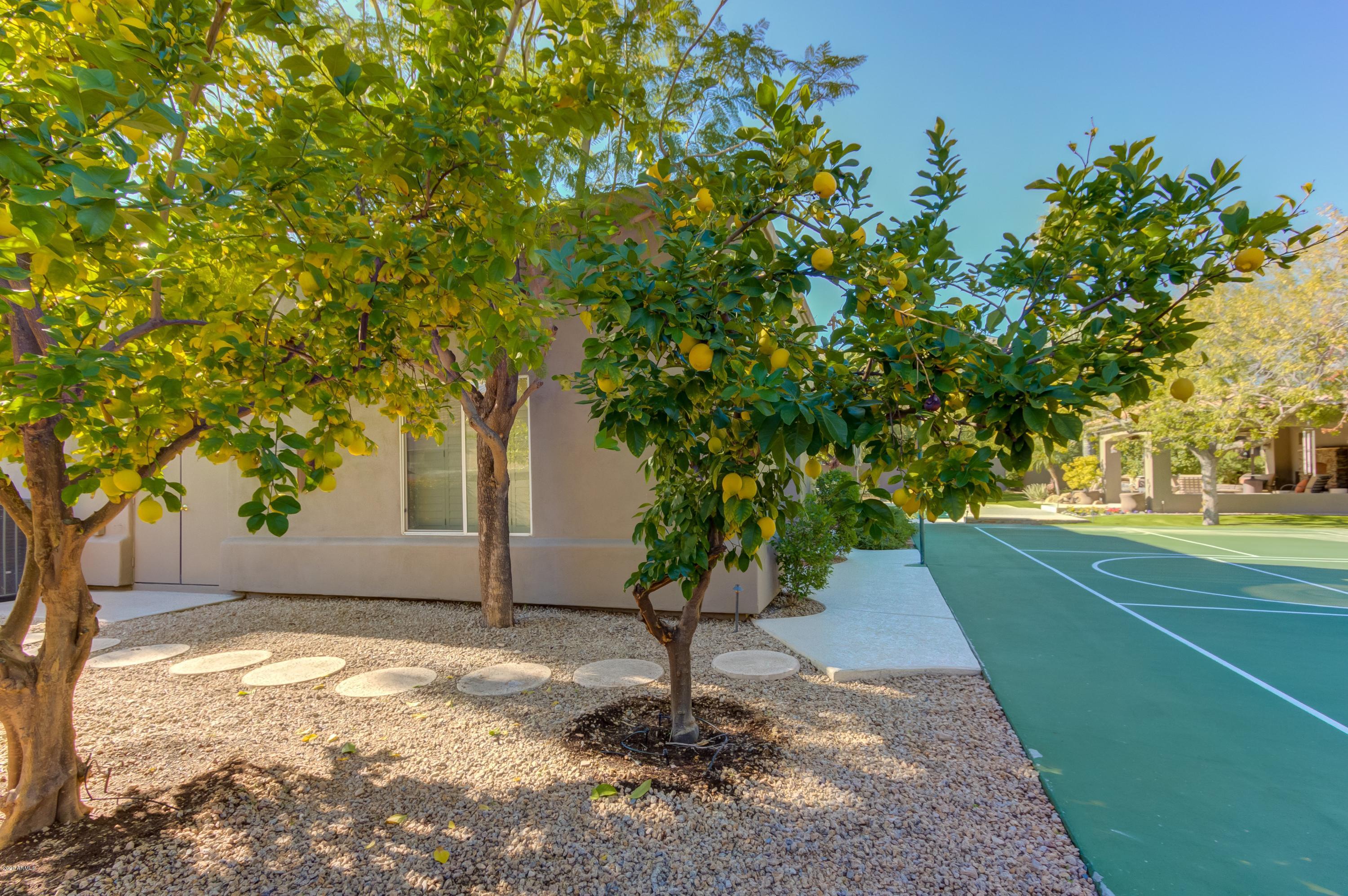TATUM FOOTHILLS LOT 1-49 TR A-Q - Residential
