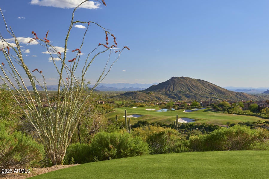 DESERT MOUNTAIN - Land
