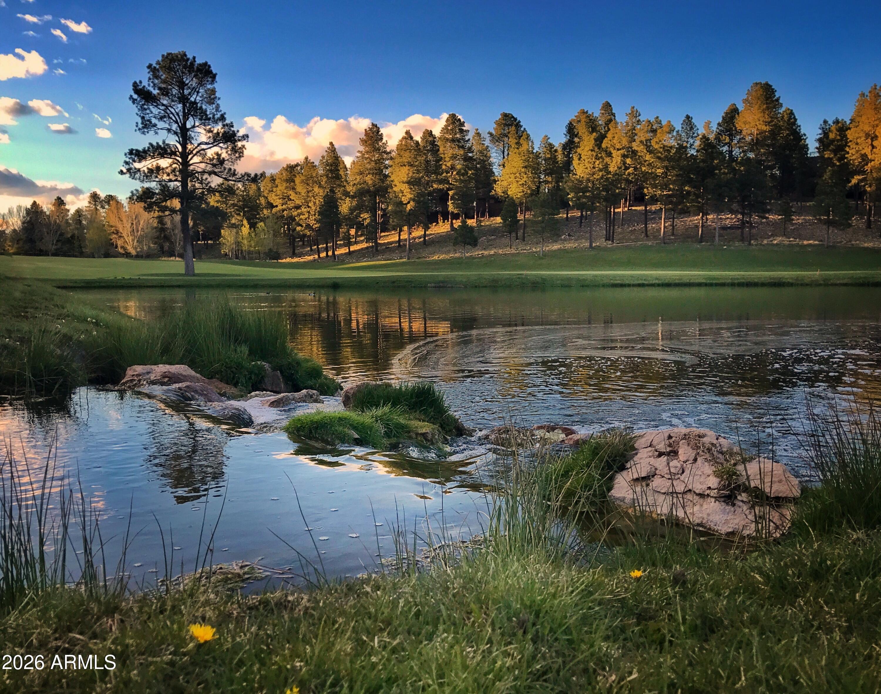ESTATES AT PINE CANYON - Residential