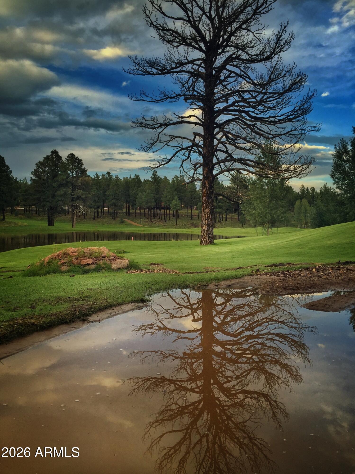 ESTATES AT PINE CANYON - Residential