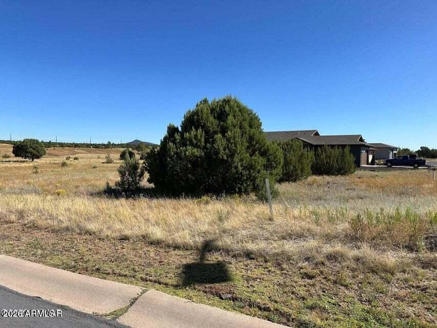 Get your piece of the Bluff today! These lots are ready for your dream home in this growing community. We have builders available to facilitate builds and other lots available.