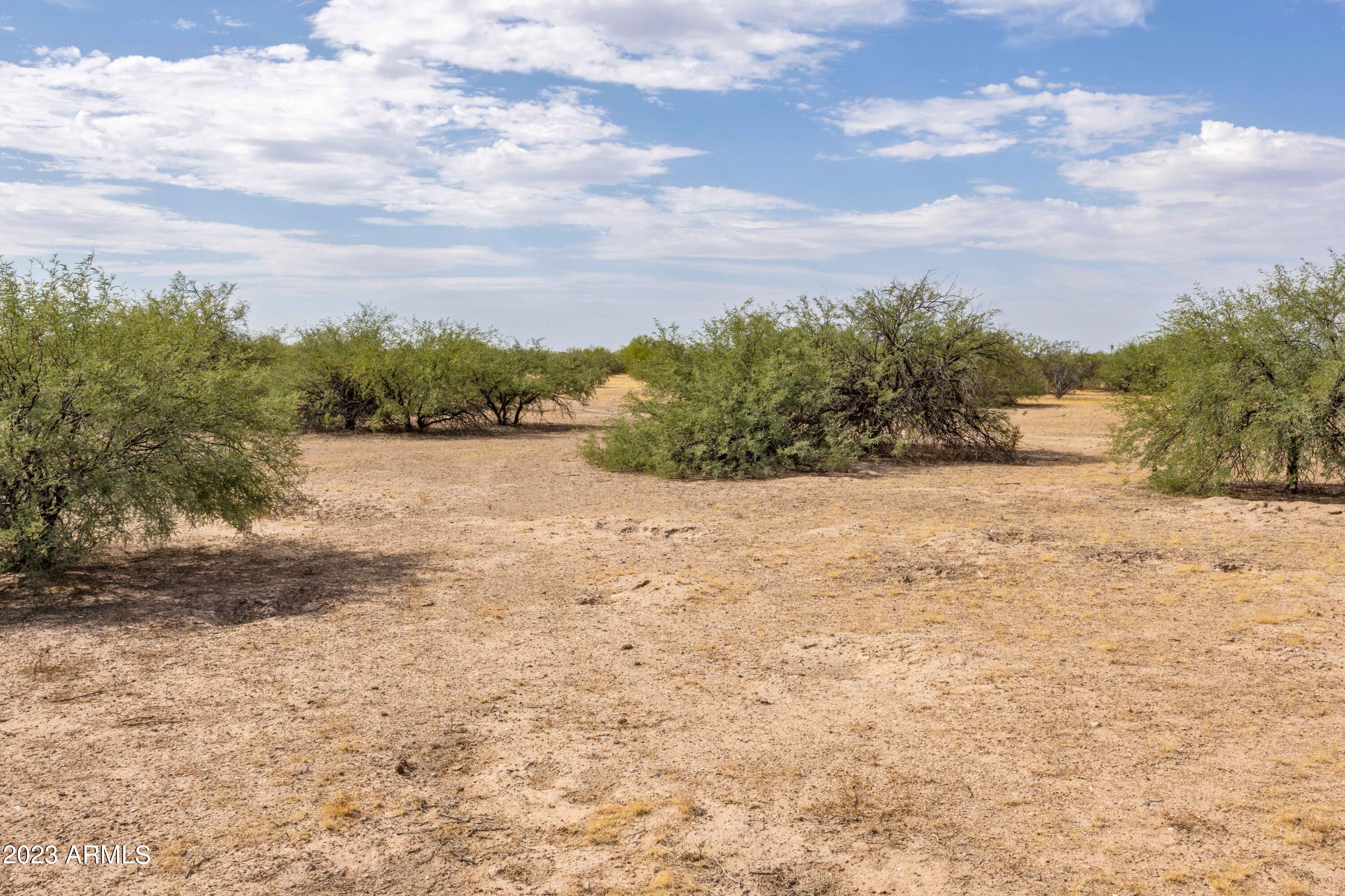 Toltec Arizona Valley #17 Lot 22 In Blk B - Land
