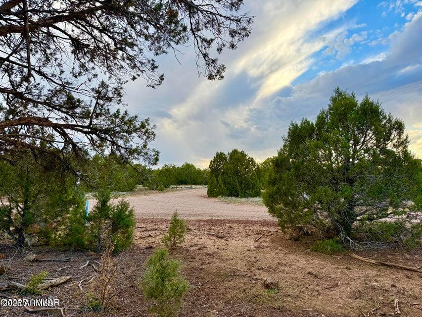 Beautiful, heavily treed lot in White Mountain Lakes with water and power at the lot line. This lot is level for an easy build for your site build or manufactured with far range view. Lake rights for the private White Mountain Lake also come with the lot. The largest lake of the area where you can boat, water ski, ride wave runners, fish, swim, and play on the beach. Birdie Ranch Golf Course is a couple minutes' drive as well. Just 20 minutes from downtown Show Low and all of its dining and shopping amenities. Skiing, horseback riding, hiking, biking and more activities are also available in the area. No HOA makes this the perfect lot! Alternative septic needed. ADJACENT LOT AVAILABLE.