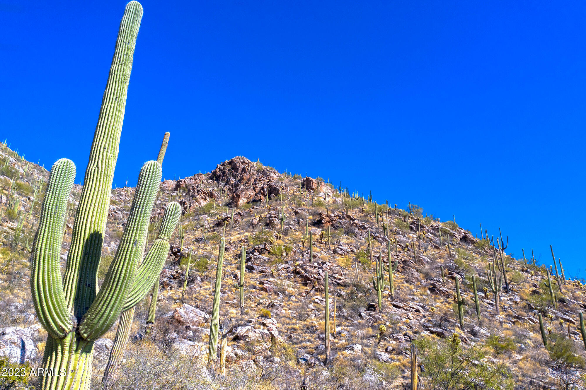 The Summit At Finger Rock (37 - 66) - Land