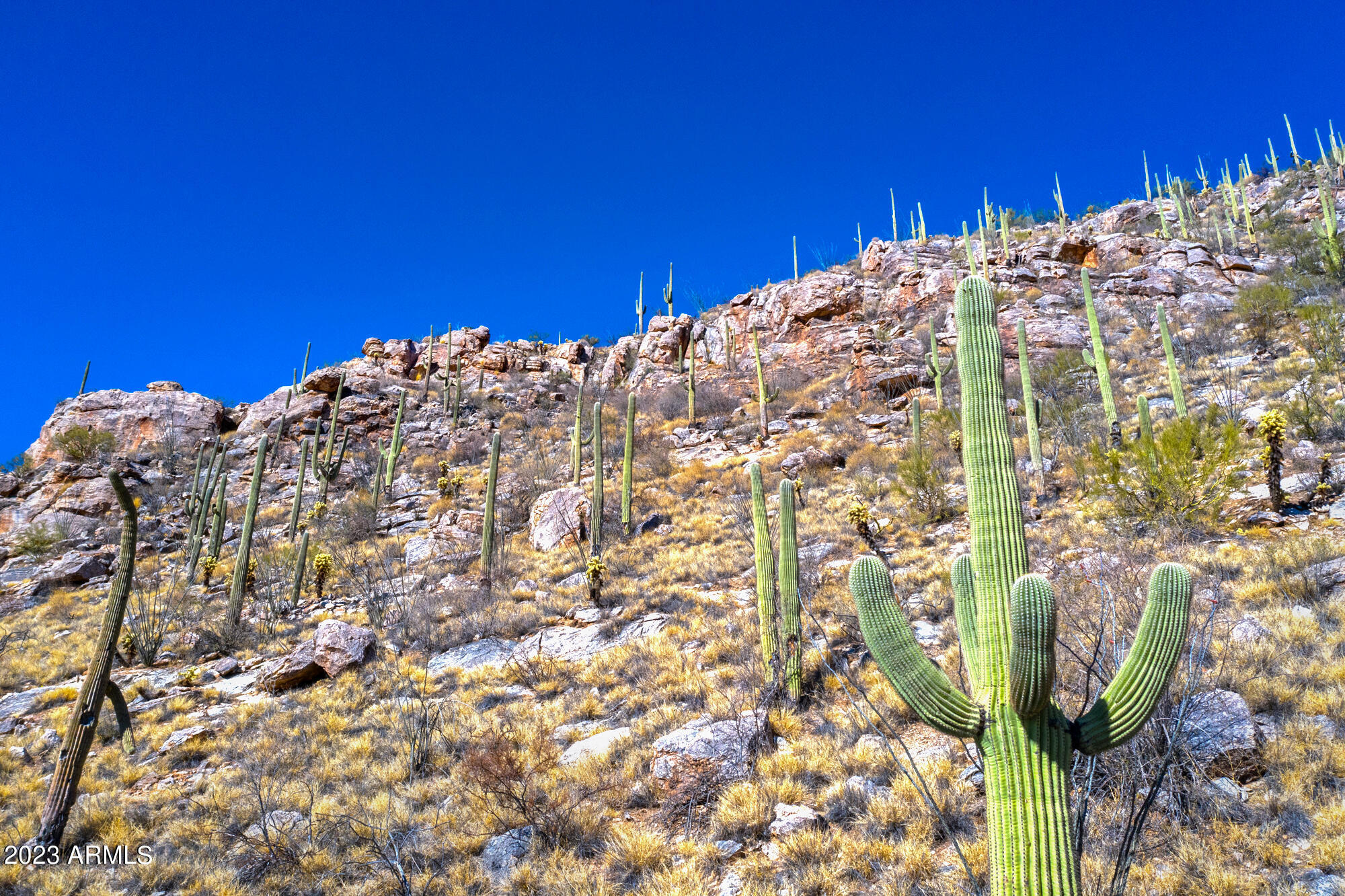 The Summit At Finger Rock (37 - 66) - Land