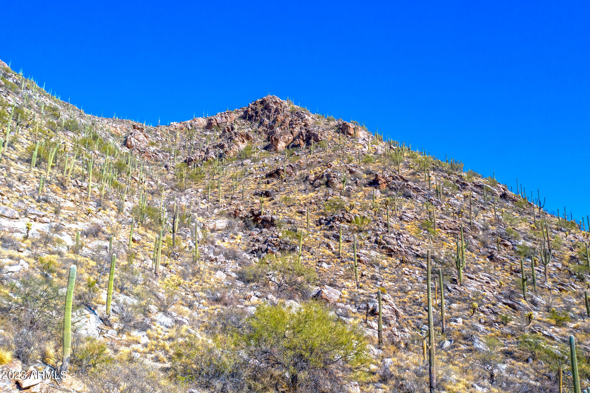 The Summit At Finger Rock (37 - 66) - Land