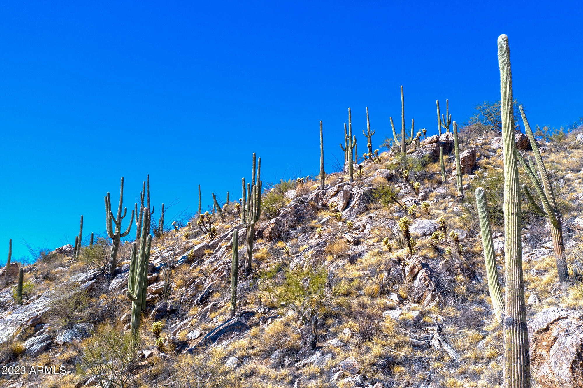 The Summit At Finger Rock (37 - 66) - Land