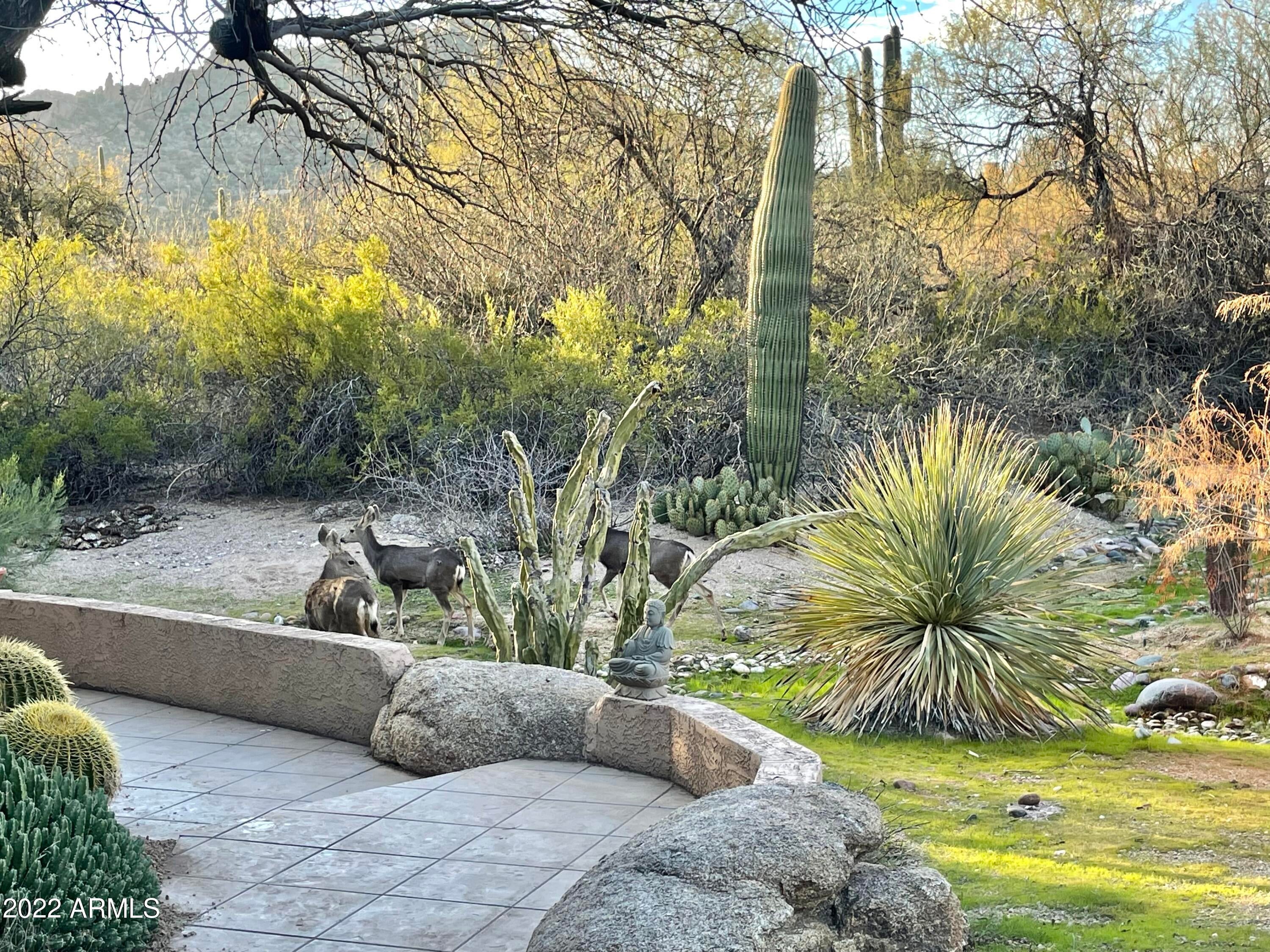 BOULDERS CAREFREE UNIT 4 PHASE 1 - Residential