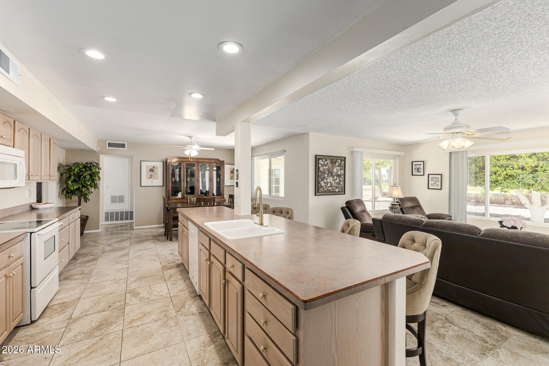 SUN CITY 4 LOT 1-115 - Residential