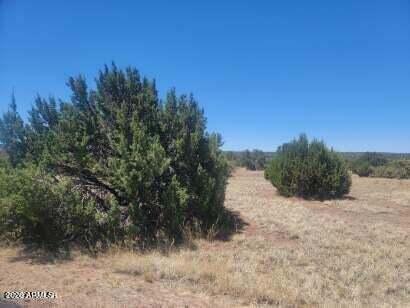 A BEAUTIFUL 0.49 ACRE OF LAND WITH GREAT VIEWS OF THE AREA! This is a Great Building Lot for a Site-built Home. Lake privileges included. All Utilities to the Lot Line Including Sewer and the Road are Paved! Don't Miss this Opportunity to live in a Great Area Where Neighboring Homes add Beauty to the Views!