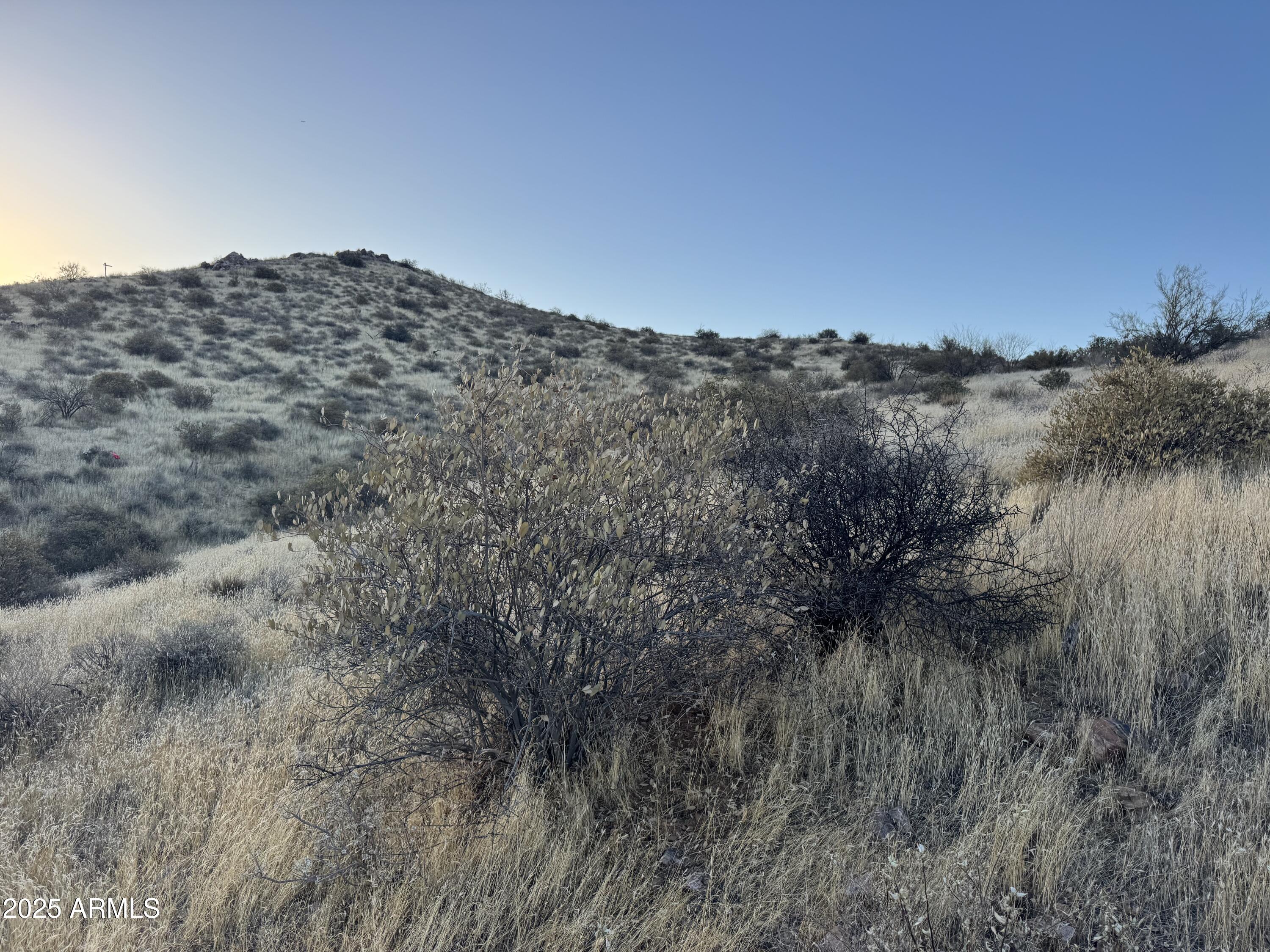 GOLDIE BROWN PINNACLE PEAK RANCH UNIT 2 - Land