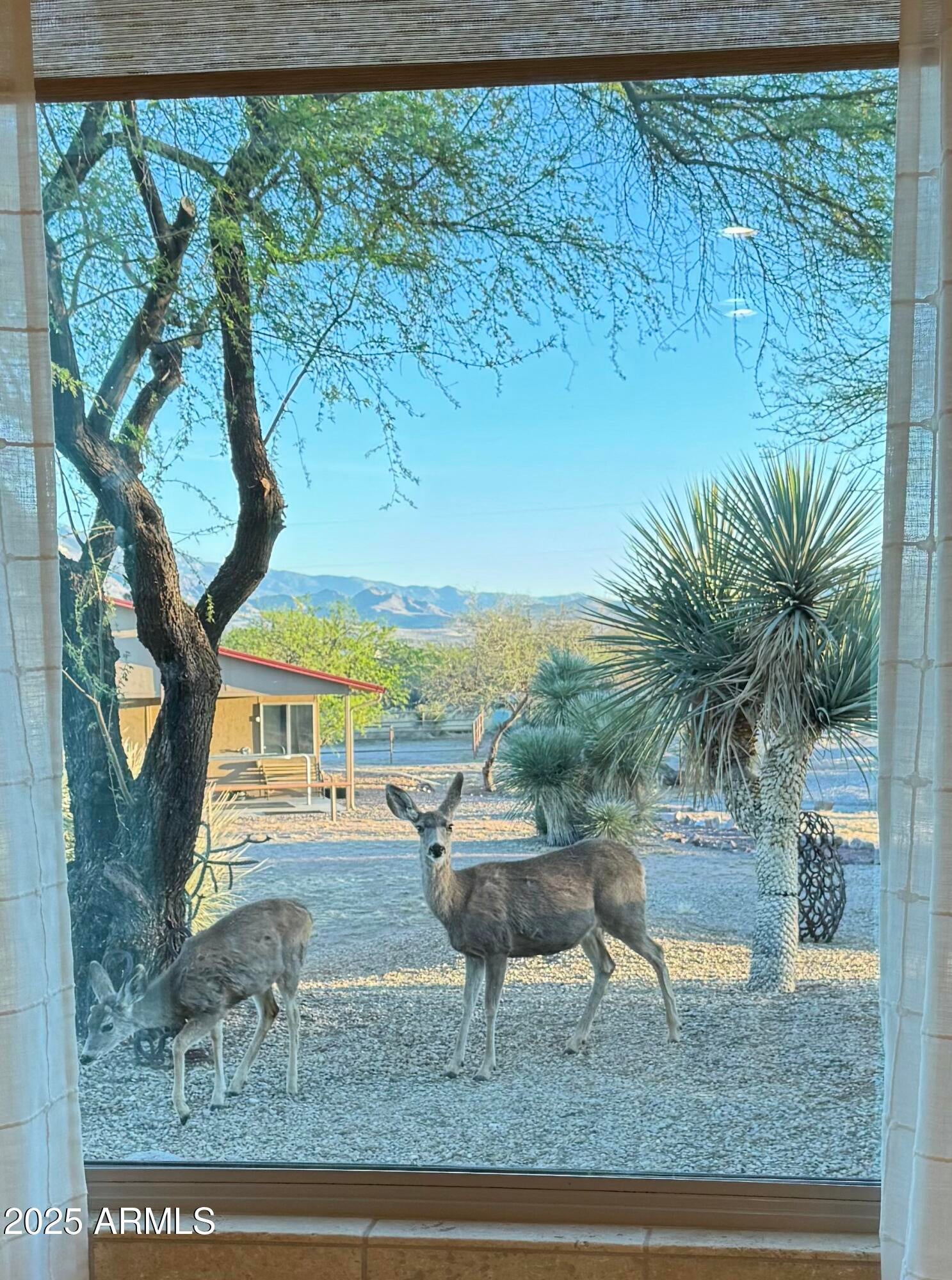 Red Hawk at JSix Ranch - Residential