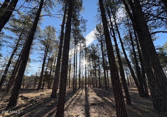 Let us build this (or similar) custom home on a gorgeous treed lot in Torreon. This is a to-be-built spec home using the buyer's cash or construction loan. You buy the lot, and then contract with the builder to build the home of your dreams. I help you and the builder design/customize your floor plan, select all of your low maintenance, exterior materials/colors: LP Smart Siding, Trex deck, 50 year shingles, steel railings, etc. Inside you will have fun picking out all of your custom home design elements. You'll pick your cabinets and granite countertops, the tile/stone for your fireplace / backsplash/ shower, choose your own lighting and plumbing fixtures as well as which beautiful, high grade LVP flooring (and/or carpet), and so much more. I am here to answer your questions and help you along the way. If you've been thinking about a get-away or full time home in Torreon and the beautiful White Mountains, this may be the perfect way to get everything you want. A brand new, customized home to your liking, set in a community among the tall pines, with 2 18-hole golf courses, a clubhouse and 2 restaurants, pool/hot tub, fitness center, pickleball, family center, playground, catch and release pond and so much more. Let me know how I can help you begin your journey.