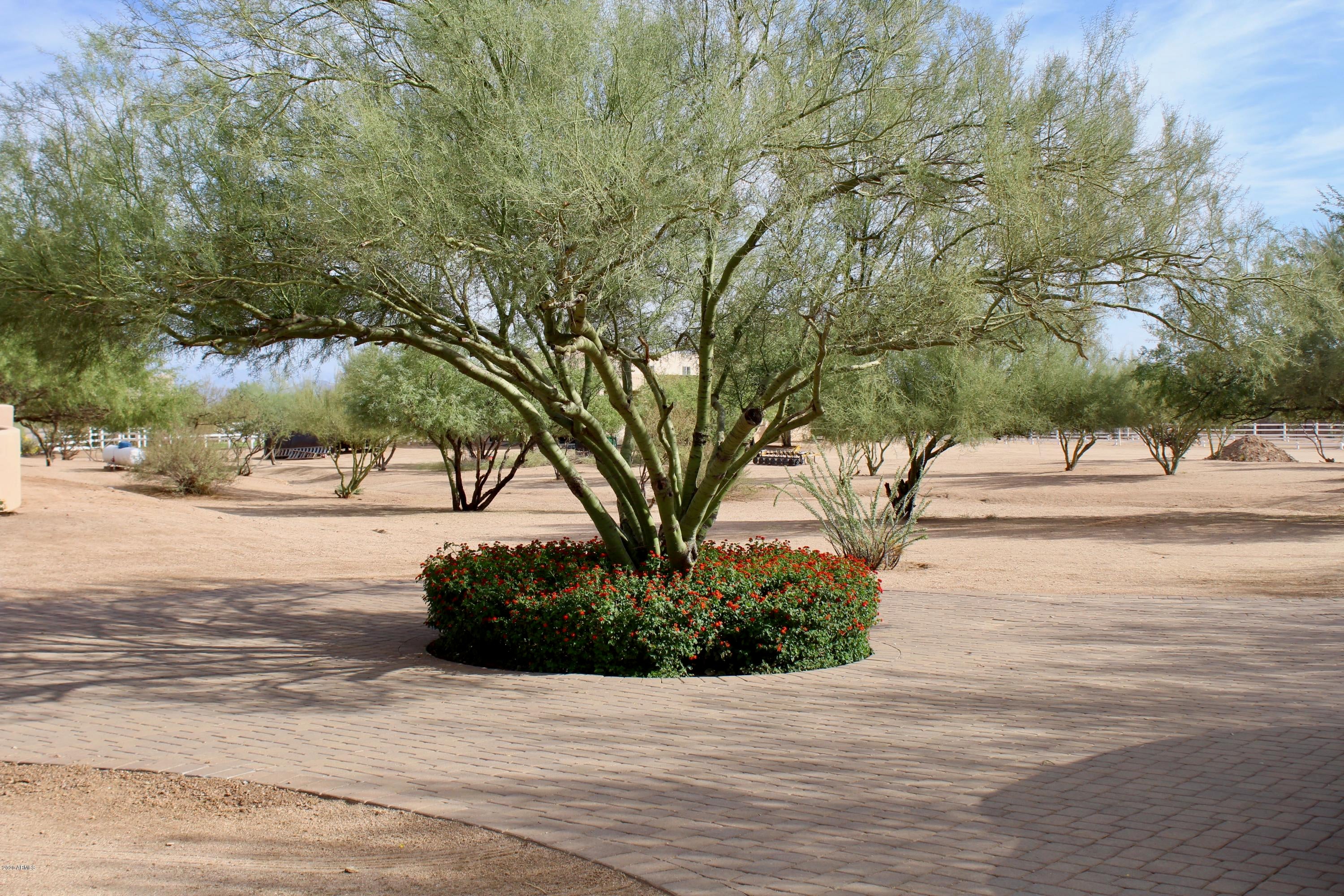 Horse Property - Residential