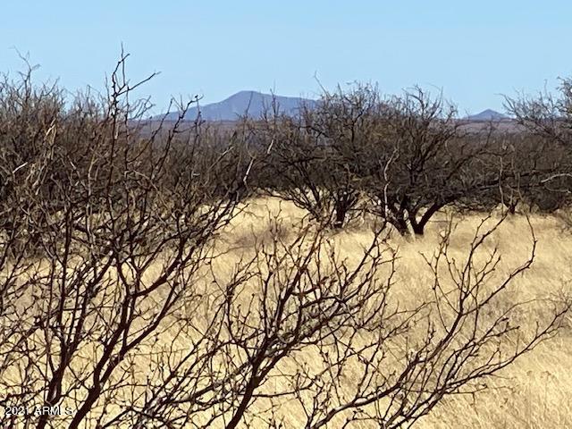 THREE CANYONS - Land