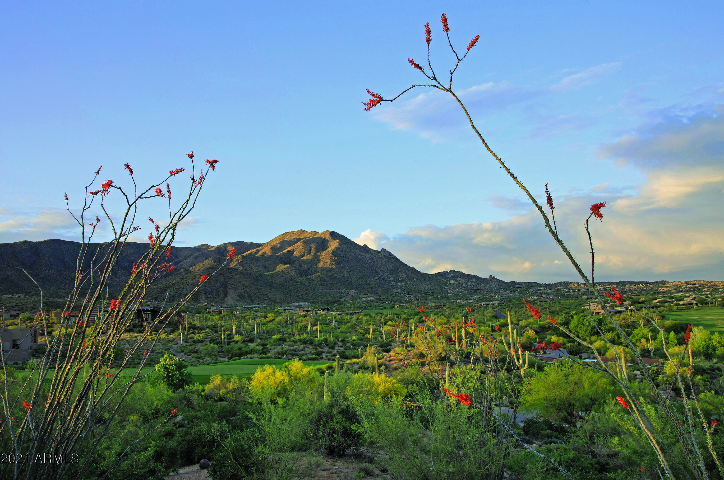 DESERT MOUNTAIN - Residential