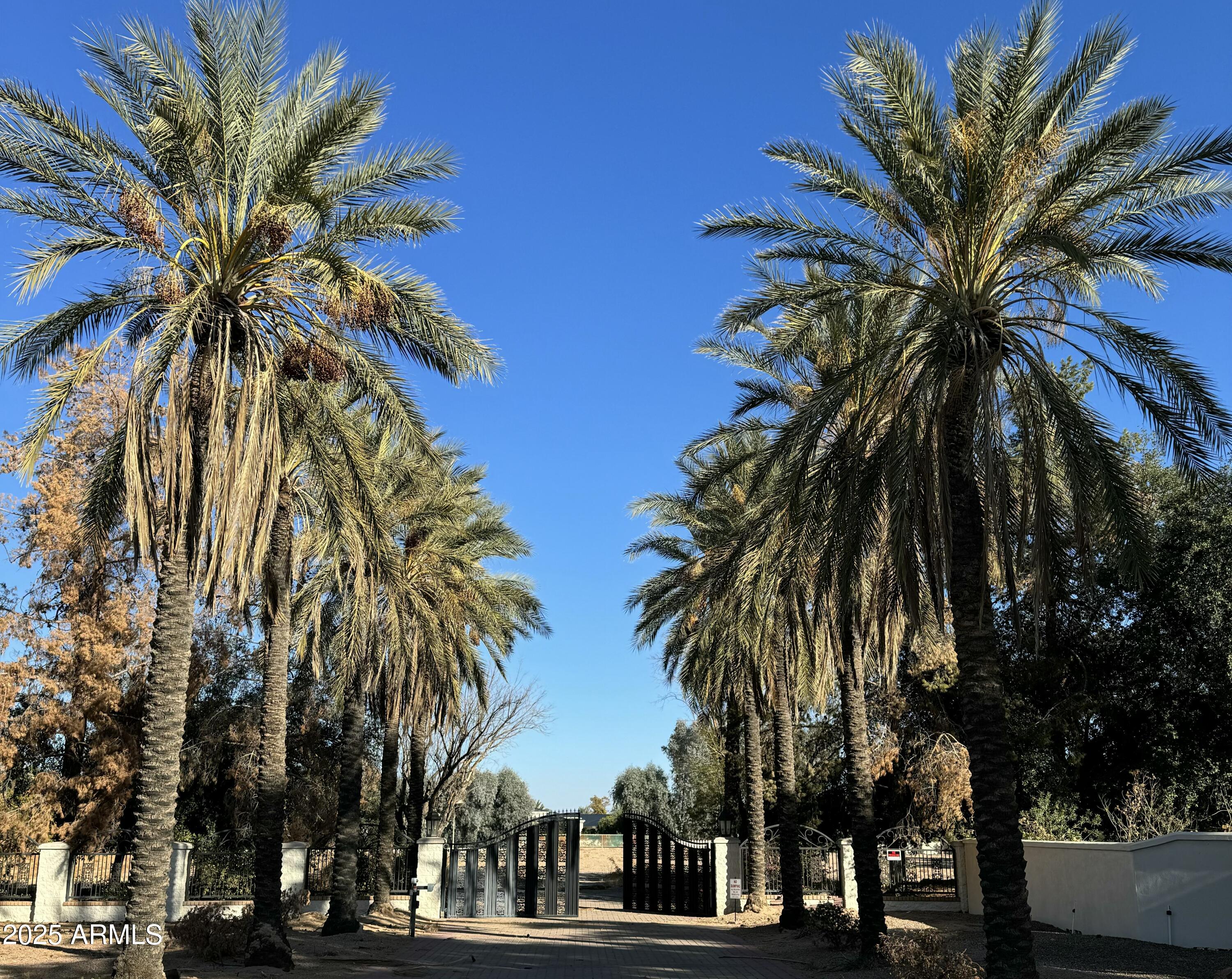Stately land in one of the best locations, in the most prestigious town in Arizona, PARADISE VALLEY!  Stately views of Camelback and stately views of Mummy Mountain.  Flat, easily buildable land.  Will sell fast. 
NO TRESPASSING!