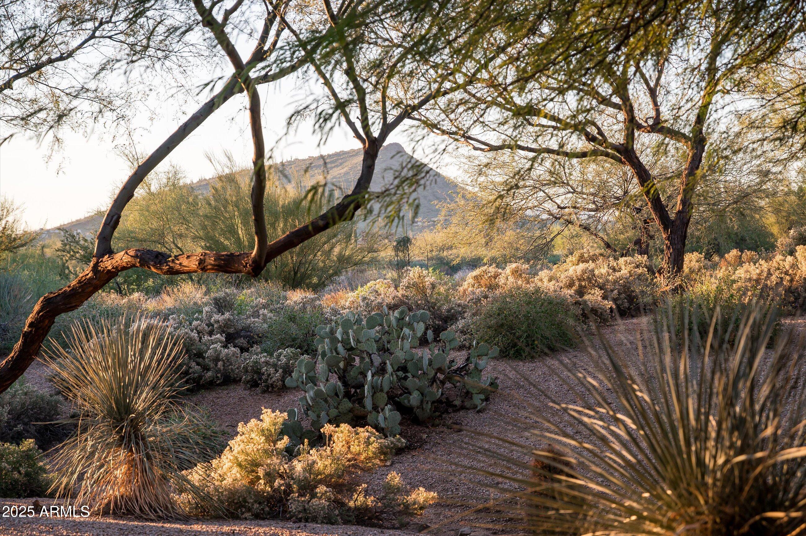 DESERT MOUNTAIN - Residential