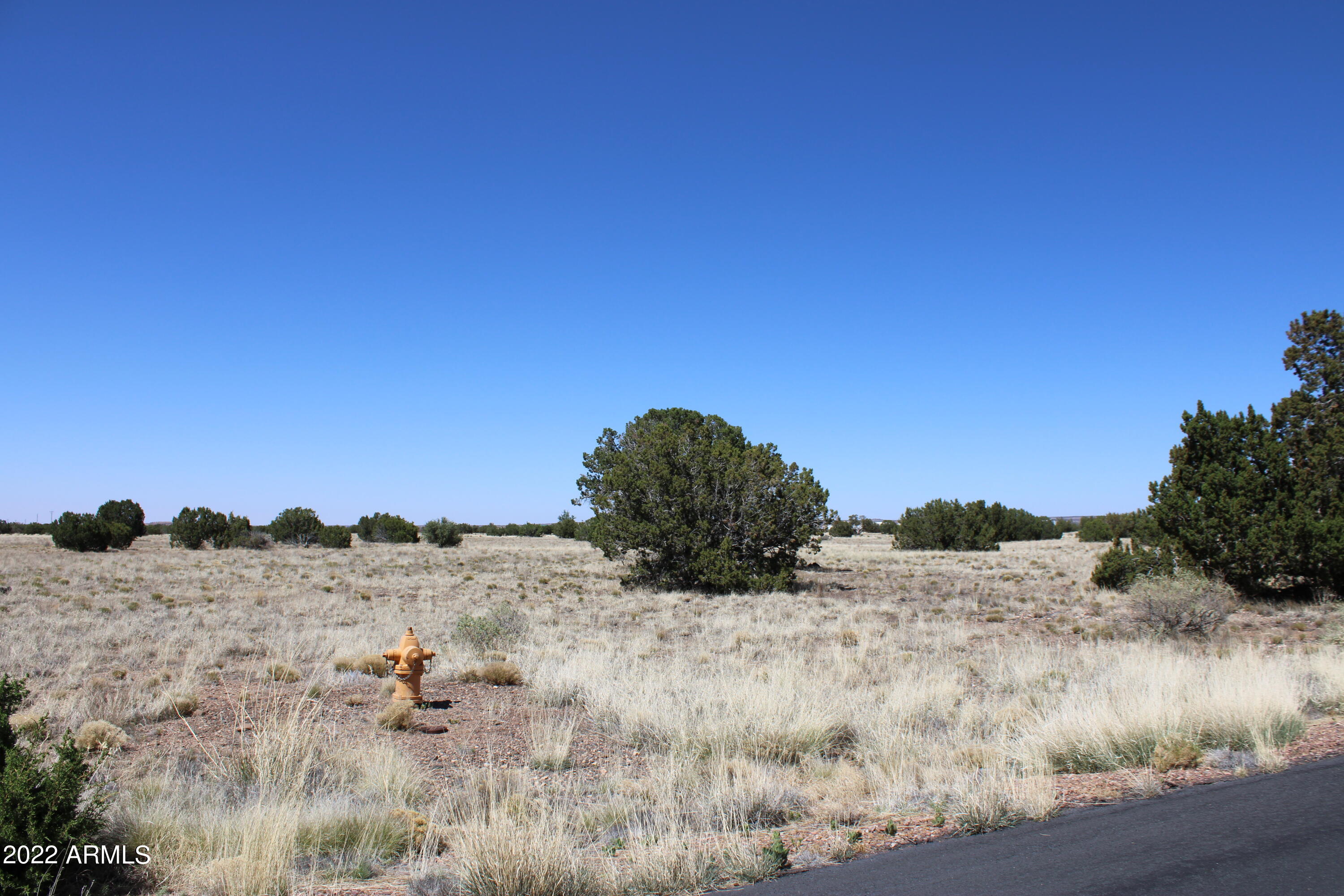 Canyon Vista Estates - Land