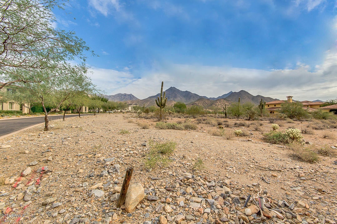 Silverleaf - Land