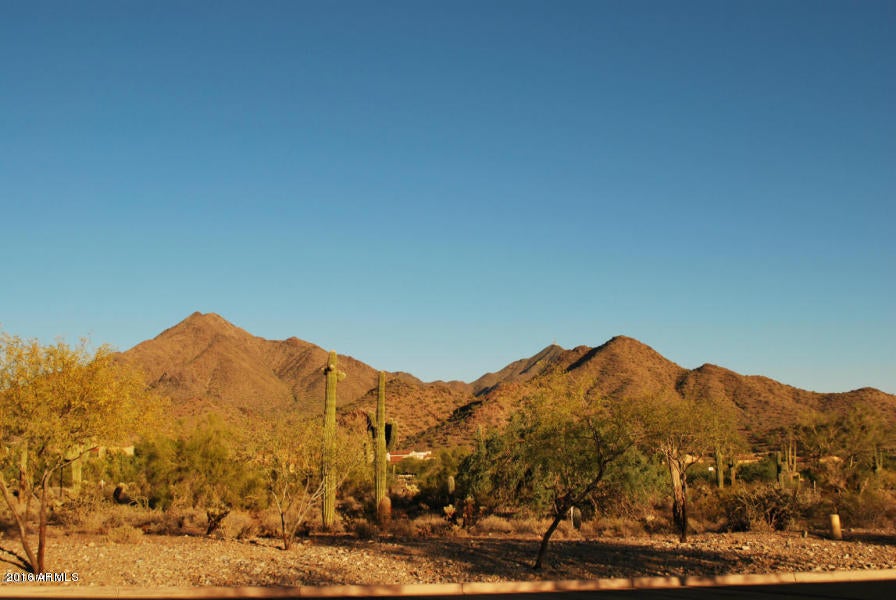 Silverleaf - Land