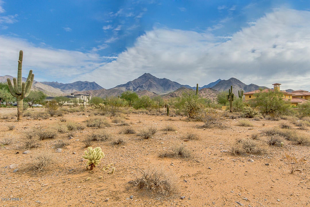 Silverleaf - Land