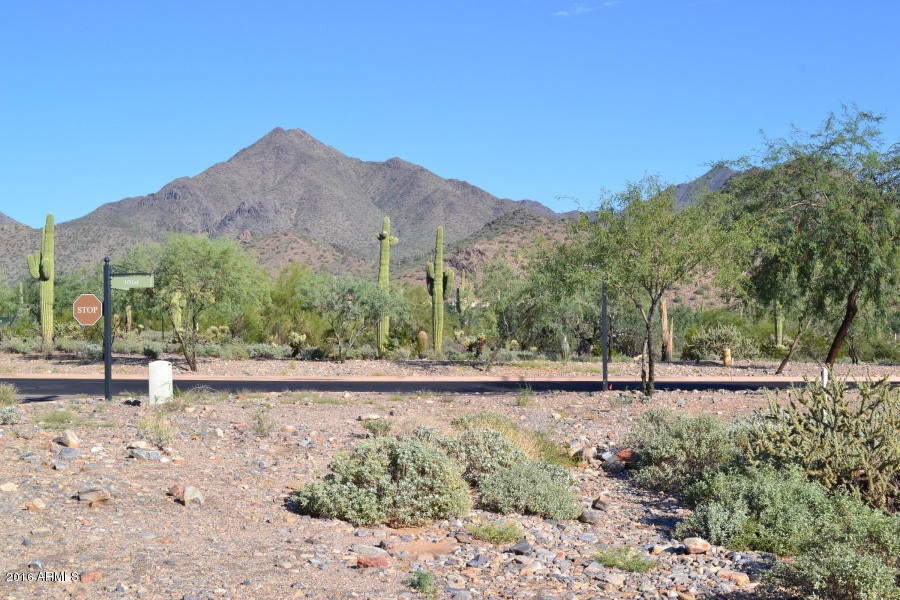 Silverleaf - Land