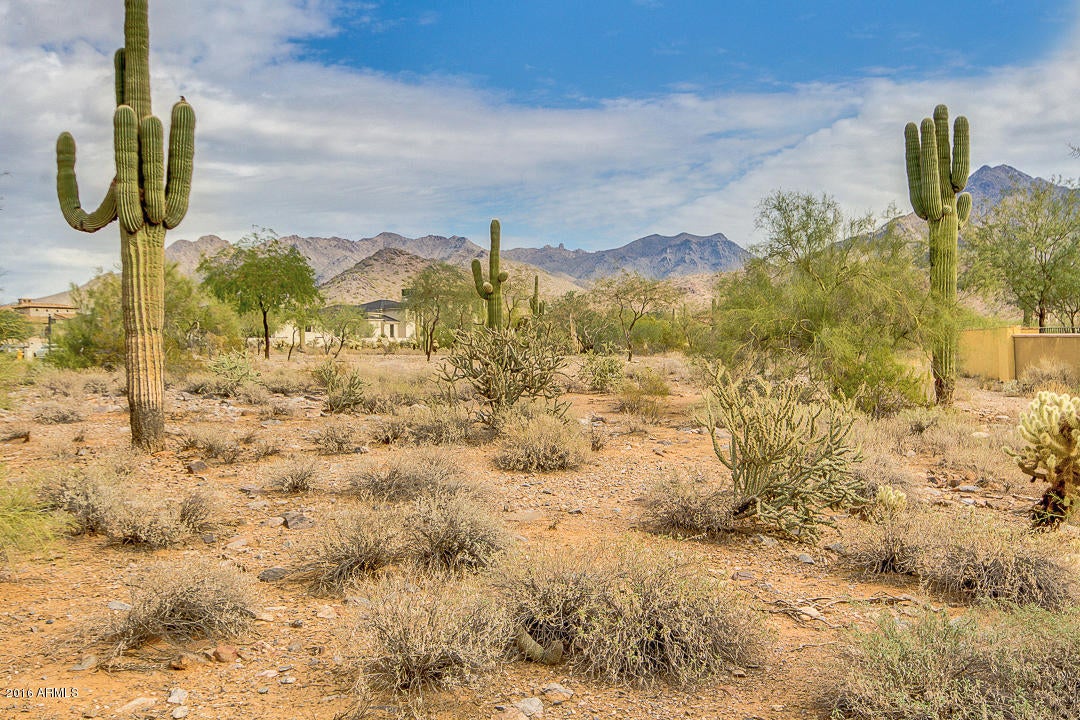 Silverleaf - Land