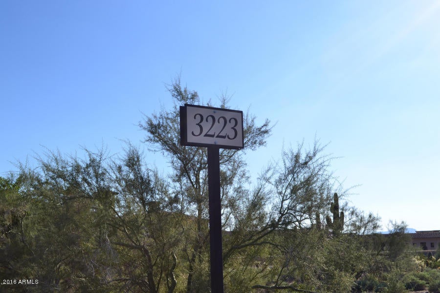 Silverleaf - Land