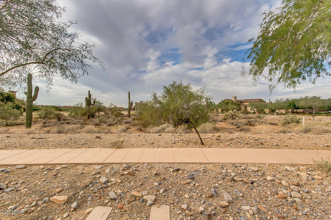 Silverleaf - Land