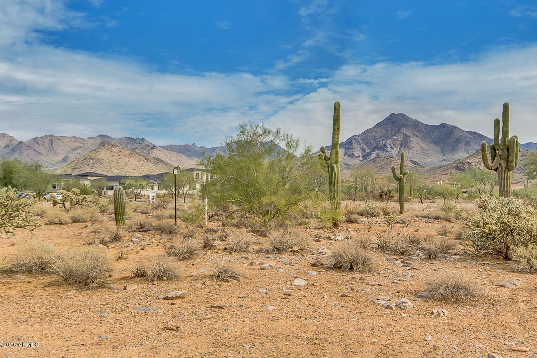 Silverleaf - Land