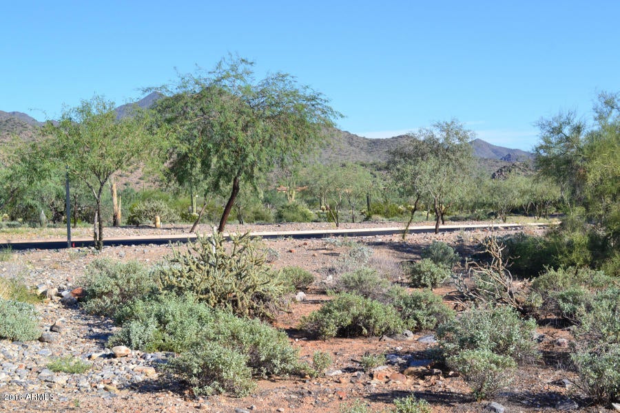 Silverleaf - Land