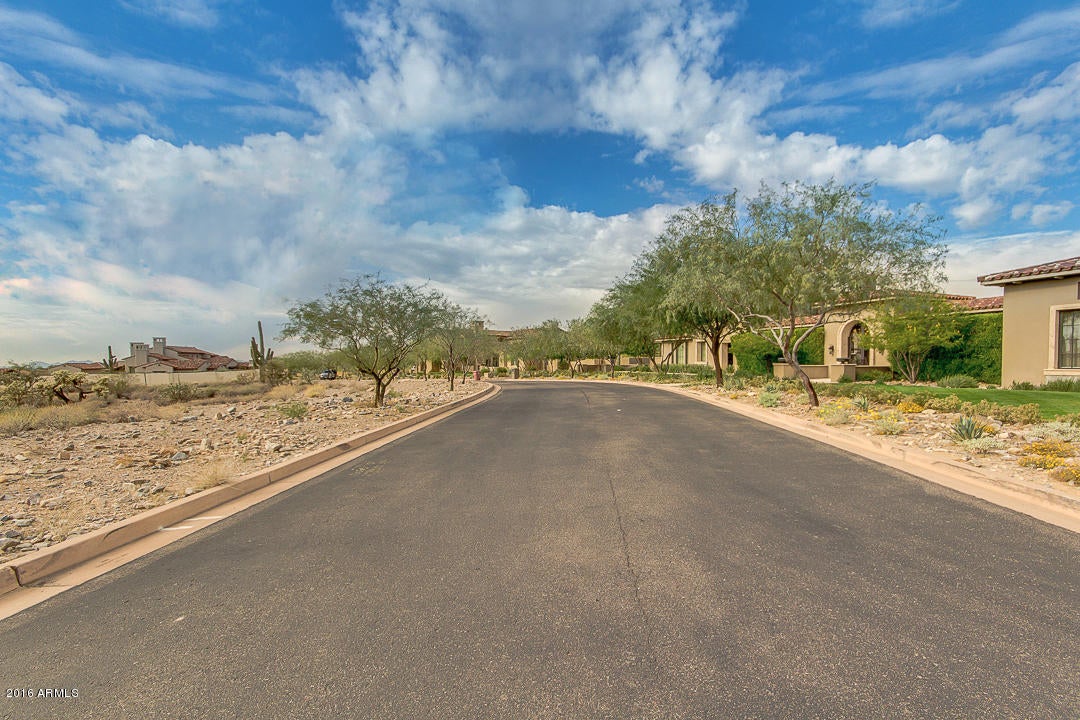 Silverleaf - Land