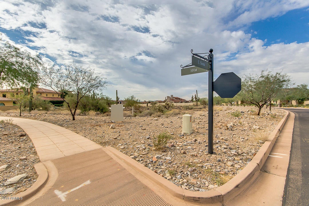 Silverleaf - Land
