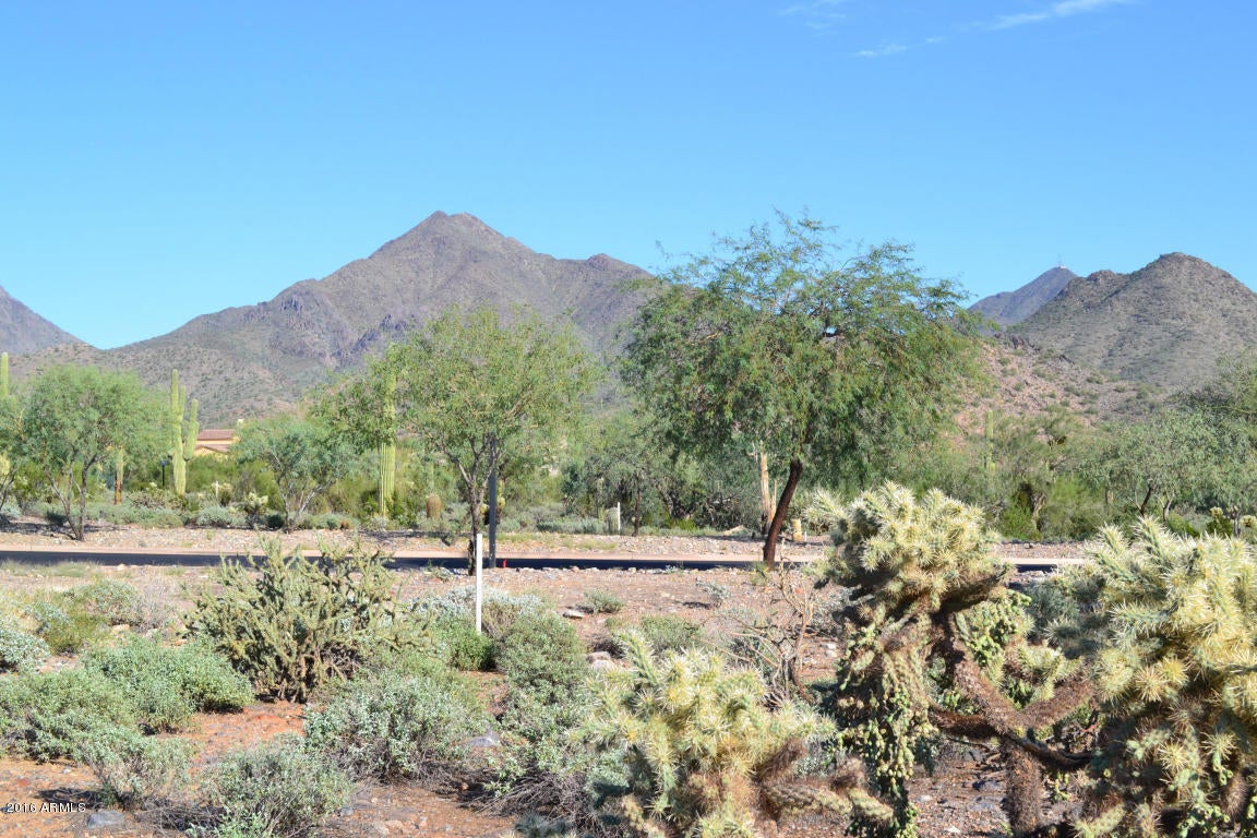 Silverleaf - Land