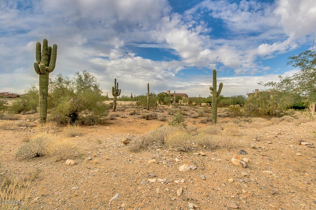 Silverleaf - Land