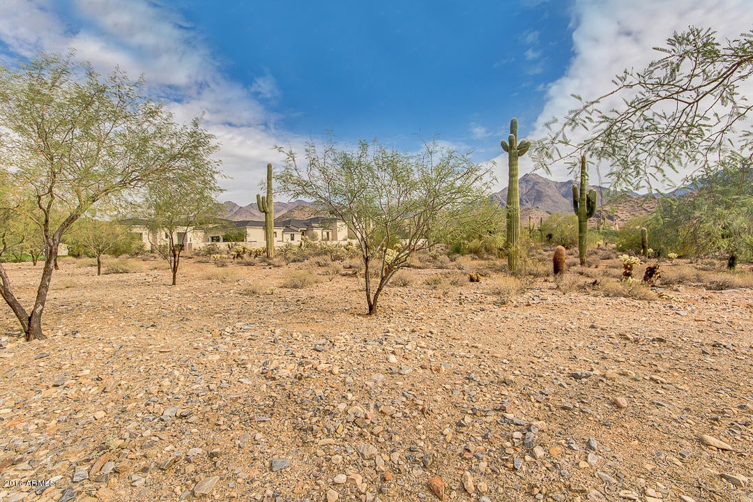 Silverleaf - Land